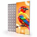 LED Leuchtwand Kombi Einseitig - Faltbar - inkl. Druck - SEG Lightbox Banner