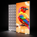 LED Leuchtwand Kombi Einseitig - Faltbar - inkl. Druck - SEG Lightbox Banner