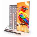 LED Leuchtwand einseitig faltbar - inkl. Druck - SEG Lightbox Banner